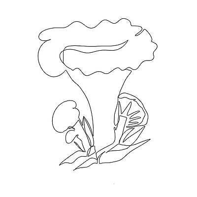 EPS 해외이미지 식물 손 디자인 계절 실루엣 별 선 음식 백그라운드 꽃무늬 채소 일러스트 재료 자연 미술 세트 검은색 버섯 가을 굴 흰색 그리기 낙서 숲 만화 스케치 심볼 사인 유기농 날것 윤곽 손그림 판화 고립 곰팡이 식용 엘리먼트 채식주의자 캡모자 벡터 해외202310 해외일러스트 자연요소 모자_잡화 웰빙 꽃 컬러 무늬 모션 문화예술 어패류 촬영기법 신체부위 생태계 채식 파일형식