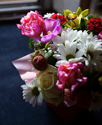 포토 JPG 해외이미지 식물 디자인 기념일 꽃 리본 분홍색 컬러 꽃다발 결혼 백그라운드 잎 꽃무늬 자연 휴가 발렌타인데이 선물 사랑 이벤트 사람없음 장식 빨간색 초록색 뷰티 장미 보라색 검은색 어둠 봄 낭만 벚꽃 흰색 축하 인사 신선 신용카드 생일 우아함 다발 배열 꽃집 제비꽃 고립 구성 해외202310 해외포토 계절 감정 컨셉 무늬 데이이벤트 금융 상점 예절 생태계 파일형식