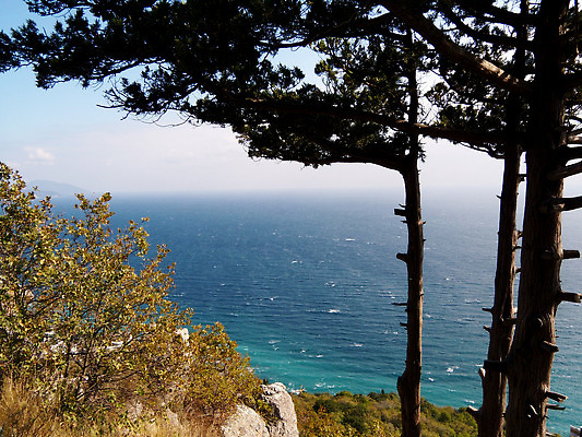 포토 JPG 해외이미지 나무 계절 바다 분홍색 여행 자연 하늘 산 액자틀 풍경 사람없음 빨간색 물 여름 파란색 뷰티 맑음 나뭇가지 소나무 고독 숲 고도 러시아 엽서 장면 침엽수 전나무 스카이라인 랜드마크 수평선 해외202310 해외포토 자연요소 식물 감정 유럽 컬러 액자 날씨 틀 편지 생태계 파일형식