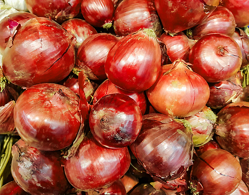 포토 JPG 해외이미지 음식 컬러 백그라운드 농업 채소 재료 양파 건강 요리 사람없음 가로 빨간색 빛 상자 농장 쌓기 보라색 활발 수확 껍질 신선 정상 유기농 날것 뿌리 머리위 건강식 내추럴 바이오 숙성 적양파 채식주의자 해외202310 해외포토 웰빙 산업 컨셉 모션 채식 파일형식