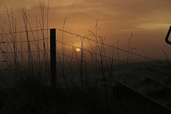 포토 JPG 해외이미지 백그라운드 자연 하늘 아침 그림자 풍경 잔디 사람없음 야외 울타리 태양 뷰티 일출 냉동 침묵 추위 해외202310 해외포토 주간 자연요소 식물 담장 노을 소리 생태계 파일형식