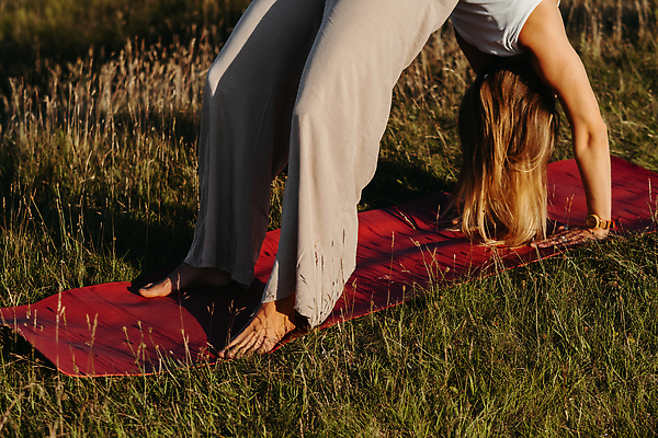 포토 JPG 해외이미지 라이프스타일 웰빙 여자 요가 자연 휴식 건강 한명 성인 야외 여름 운동 평화 일몰 에너지 집중 해외202310 해외포토 1 계절 컨셉 사람 생활 노을 생태계 파일형식