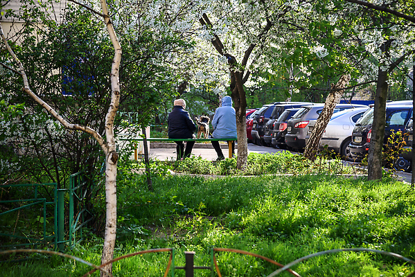 포토 JPG 해외이미지 나무 백인 라이프스타일 손 디자인 커플 공원 여자 행복 여유 얼굴 커피 2 벤치 가족 자연 사랑 미소 사람 앉기 성인 사람없음 야외 물 여름 쇼핑 태양 유행 회색 수확 흰색 개 은퇴 복고 옛날 해외202310 해외포토 자연요소 서양인 식물 계절 공공시설 감정 음료 컬러 농업 의자 포유류 관계 모션 표정 생활 신체부위 생태계 파일형식