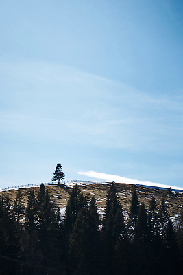 포토 JPG 해외이미지 나무 식물 구름 1 공원 실루엣 여행 백그라운드 밭 자연 벽지 하늘 아침 산 파노라마 풍경 경사 사람없음 목재 초록색 파란색 햇빛 태양 환경 계곡 봄 안개 소나무 고독 정상 숲 언덕 싱글 장면 내추럴 절정 혼자 수평선 해외202310 해외포토 주간 자연요소 계절 공공시설 감정 컬러 농업 재료 날씨 촬영기법 생태계 파일형식