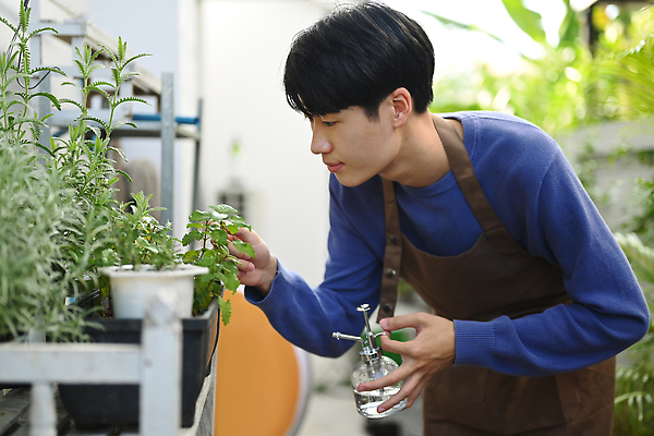 포토 JPG 해외이미지 남자 화분 여유 휴식 한명 동양인 상반신 성인 앞모습 정원 앞치마 잡기 물주기 원예 주말 분무기 성인남자한명만 해외202310 해외포토 1 감정 뷰포인트 컨셉 모션 사람 인종 취미 남자한명만 성인남자만 파일형식