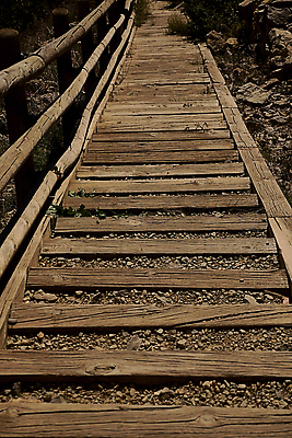 포토 JPG 해외이미지 길 모래 여행 자국 자연 미래 산 사람없음 목재 세로 초록색 빛 평화 걷기 계단 황혼 산책 회색 안개 소용돌이 숲 오솔길 서식 장면 기하학 단계 추적 되감기 방법 이국적 효과 해외202310 해외포토 나무 컬러 컨셉 무늬 재료 모션 날씨 휴식 일몰 회오리 생태계 파일형식