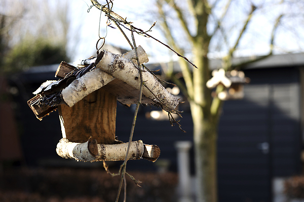 포토 JPG 해외이미지 나무 동물 디자인 계절 공원 야생동물 백그라운드 잎 자연 조류 지붕 주택 매달리기 사람없음 야외 목재 장식 초록색 여름 상자 컬러풀 뷰티 환경 정원 봄 수확 가을 흰색 나뭇가지 구멍 둥지 숲 작음 오브젝트 새장 내추럴 핸드메이드 비어있는 해외202310 해외포토 식물 공공시설 컬러 농업 재료 모션 건물 크기 생태계 케이지 파일형식