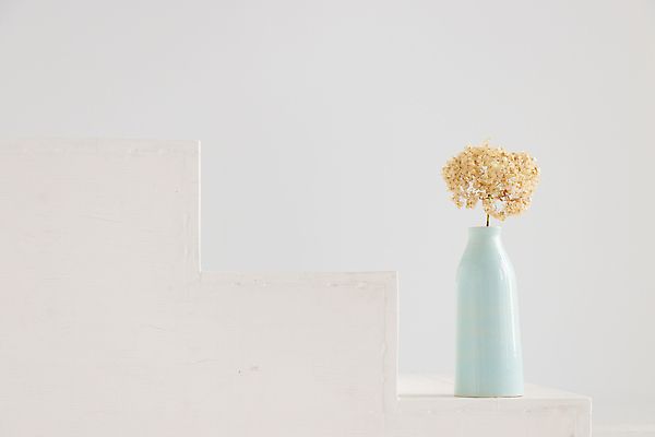 포토 JPG 해외이미지 식물 디자인 꽃잎 꽃 컬러 꽃다발 결혼 백그라운드 잎 꽃무늬 자연 벽지 탁자 사랑 사람없음 파란색 뷰티 꽃병 봄 회색 수국 내추럴 바이오 정물화 스타일 카피스페이스 해외202310 해외포토 계절 감정 가구 무늬 이벤트 공백 그림 생태계 파일형식