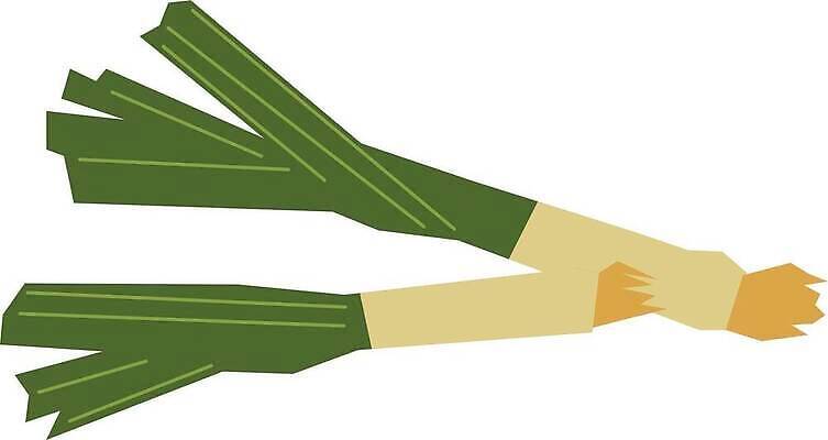 EPS 해외이미지 식물 손 디자인 계절 음식 백그라운드 밭 농업 다이어트 채소 일러스트 자연 양파 추상 초록색 농작물 농장 유행 정원 일본 봄 수확 성장 신선 플랫 낙서 발사 유기농 원예 매움 뿌리 부추 내추럴 쪽파 고립 밭일 식용 스타일 벡터 억울 맛있는 해외202310 해외일러스트 웰빙 감정 산업 아시아 컬러 무늬 건강 취미 신체부위 맛 생태계 파 파일형식