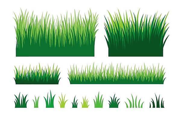 EPS 해외이미지 식물 디자인 계절 실루엣 백그라운드 잎 패턴 밭 일러스트 자연 추상 파노라마 잔디 가로 초록색 세트 약 환경 정원 봄 젖음 성장 흰색 시골 신선 칼날 만화 땅 수집 허브 그림 에코 심플 내추럴 고립 생태학 엘리먼트 전국 벡터 국경 해외202310 해외일러스트 교육 컬러 무늬 농업 의학 촬영기법 생태계 파일형식