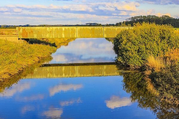 포토 JPG 해외이미지 나무 유럽 호수 여행 백그라운드 밭 농업 자연 하늘 날씨 독일 파노라마 사람없음 야외 초록색 물 파란색 강 햇빛 뷰티 풍차 시골 풍력에너지 숲 내추럴 해외202310 해외포토 자연요소 식물 나라 산업 컬러 촬영기법 태양 그린에너지 생태계 파일형식