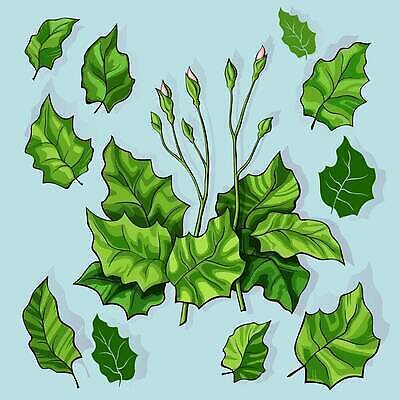 EPS 해외이미지 식물 디자인 계절 꽃 줄기 백그라운드 잎 꽃무늬 패턴 일러스트 자연 추상 미술 그래픽 장식 초록색 여름 세트 유행 우주 정원 봄 수확 벚꽃 나뭇가지 다발 허브 오브젝트 그림 질감 고립 엘리먼트 벡터 해외202310 해외일러스트 나무 컬러 무늬 농업 문화예술 생태계 파일형식