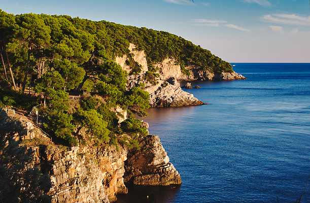 포토 JPG 해외이미지 나무 유럽 얼굴 바다 섬 여행 자연 하늘 휴가 따뜻함 경사 사람없음 초록색 물 파란색 뷰티 환경 성장 만 숲 지중해 암초 크로아티아 내추럴 항공촬영 단절 얇은 파라다이스 해외202310 해외포토 자연요소 식물 나라 뷰포인트 컬러 신체부위 생태계 파일형식