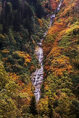 포토 JPG 해외이미지 나무 구름 공원 여행 잎 자연 휴가 산 풍경 사람없음 야외 초록색 물 관광지 강 환경 계곡 폭포 안개 가을 개울 떨어짐 숲 신비 열대우림 자연백그라운드 장노출 칠면조 내추럴 뿌연 삼림지대 해외202310 해외포토 자연요소 식물 계절 공공시설 컬러 백그라운드 컨셉 조류 날씨 촬영기법 생태계 파일형식