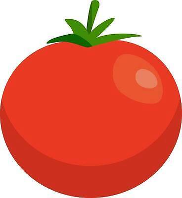 EPS 해외이미지 식물 음식 백그라운드 농업 다이어트 토마토 채소 일러스트 자연 건강 요리 빨간색 라벨 정원 샐러드 신선 원형 체리 맛 케첩 만화 심볼 오브젝트 사인 메뉴 에코 유기농 심플 내추럴 고립 숙성 엘리먼트 채식주의자 벡터 비건 맛있는 해외202310 해외일러스트 도형 웰빙 산업 컬러 컨셉 과일 프레임 환경 소스_음식 생태계 채식 파일형식