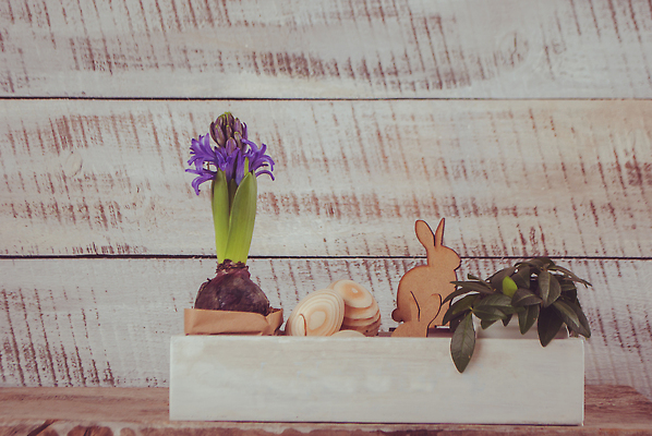 포토 JPG 해외이미지 전통 디자인 계절 꽃 행복 음식 컬러 백그라운드 패턴 탁자 휴가 부활절 선물 이벤트 사람없음 목재 장식 빨간색 초록색 파란색 컬러풀 뷰티 노란색 바구니 우주 계란 축제 페인트 봄 수확 흰색 시골 축하 그룹 둥지 4월 심볼 질감 해외202310 해외포토 나무 식물 기념일 감정 가구 컨셉 무늬 농업 재료 알 날짜 파일형식