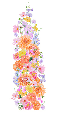 포토 JPG 해외이미지 클립아트 식물 템플릿 꽃 분홍색 꽃다발 결혼 꽃무늬 오렌지 일러스트 자연 프레임 발렌타인데이 사람없음 장식 컬러풀 정원 보라색 페인트 낭만 수확 벚꽃 인사 신용카드 모서리 인쇄 스케치 자르기 수집 달리아 제비꽃 싱글 그림 완두콩 엽서 초대 손그림 라일락 밭일 현실 국경 해외202310 해외일러스트 컬러 컨셉 무늬 농업 과일 모션 데이이벤트 콩 미술 이벤트 금융 예절 편지 생태계 파일형식