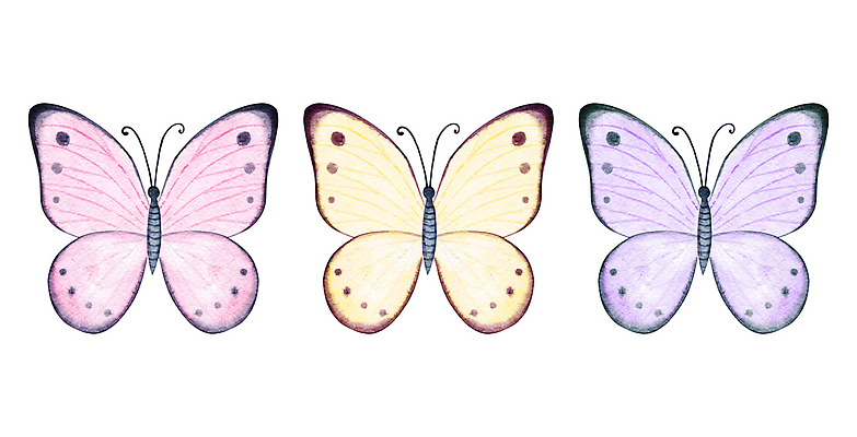 포토 JPG 해외이미지 동물 디자인 야생동물 분홍색 컬러 나비 곤충 백그라운드 패턴 일러스트 자연 생물 3 미술 사람없음 장식 빛 세트 컬러풀 뷰티 노란색 축제 봄 꿈 흰색 축하 그룹 수집 제비꽃 그림 생물학 손그림 나방 내추럴 고립 단아함 이국적 파스텔톤 해외202310 해외일러스트 계절 교육 꽃 컨셉 무늬 문화예술 생태계 파일형식