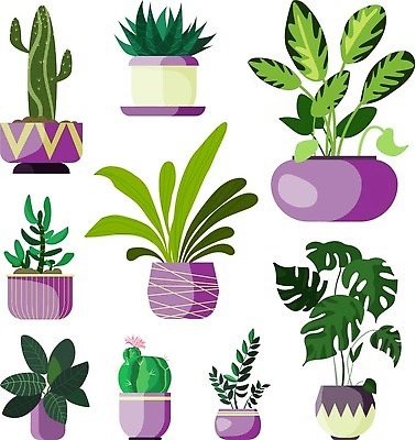 EPS 해외이미지 화분 일러스트 선인장 사람없음 풀잎 열대식물 오브젝트 몬스테라 엘리먼트 해외202310 해외일러스트 식물 잎 풀_식물 파일형식 벡터