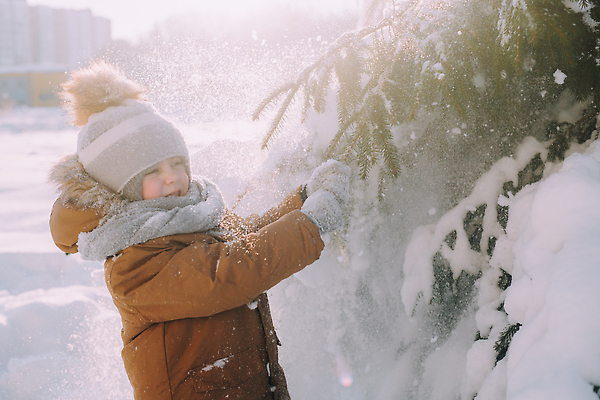 포토 JPG 해외이미지 나무 백인 모자 라이프스타일 계절 공원 행복 어린이 백그라운드 크리스마스 겨울 자연 놀이 날씨 휴가 한명 사람 소년 야외 파란색 산책 기쁨 추위 흰색 나뭇가지 숲 서리 떨림 제설기 캡모자 눈내림 해외202310 해외포토 서양인 식물 모자_잡화 1 잡화 공공시설 기념일 남자 감정 컬러 모션 휴식 눈_날씨 생활 생태계 제설 파일형식