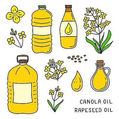 EPS 해외이미지 식물 손 꽃 음식 컬러 백그라운드 잎 농업 일러스트 재료 텍스트 유리 요리 씨앗 세트 노란색 라벨 흰색 항아리 액체 떨어짐 낙서 기름 컨테이너 플라스틱 만화 머스터드 허브 가득함 유채 유기농 윤곽 코르크 내추럴 고립 바이오 카놀라 벡터 해외202310 해외일러스트 웰빙 산업 컨셉 재질 프레임 신체부위 도자기 소스_음식 파일형식