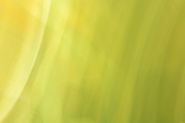 포토 JPG 해외이미지 템플릿 디자인 배너 벽 컬러 백그라운드 컨셉 일러스트 벽지 표면 추상 미술 사람없음 아웃포커스 장식 초록색 빛 뷰티 노란색 우주 맑음 웹 페인트 봄 수확 덮개 시골 발표 우아함 올리브 질감 캔버스 초대 부드러움 변장 엘리먼트 옛날 평야 포장소품 카피스페이스 비어있는 해외202310 해외일러스트 계절 열매 무늬 농업 인터넷 포장 자연 날씨 문화예술 촬영기법 공백 뚜껑 감각 오브젝트 포장재료 파일형식