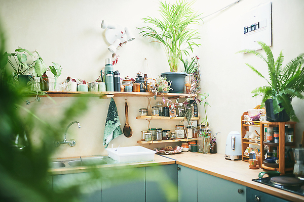 포토 JPG 해외이미지 라이프스타일 꽃 가구 백그라운드 컨셉 건축양식 탁자 주방용품 새로움 선반 아파트 주택 실내 한명 사람없음 내부 목재 장식 초록색 빛 인테리어 뷰티 우주 주방 식사 기계 흰색 고급 우아함 오븐 계산대 싱크대 심플 해외202310 해외포토 나무 식물 1 디자인 건축 컬러 생활용품 재료 사람 건물 생활 가전제품 개수대 파일형식