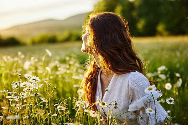 포토 JPG 해외이미지 여자 꽃밭 따뜻함 한명 상반신 성인 야외 옆모습 햇빛 일몰 개망초 성인여자한명만 해외202310 해외포토 1 꽃 뷰포인트 사람 태양 노을 여자한명만 성인여자만 파일형식
