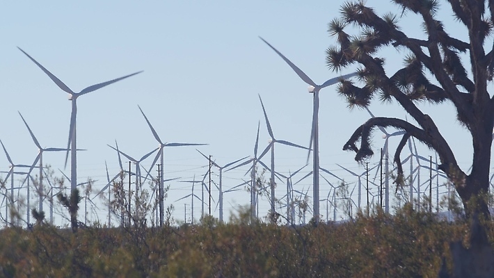 포토 JPG 해외이미지 산업 밭 하늘 바람 선인장 사람없음 초록색 농장 환경 탑 계곡 미국 힘 재활용 사막 풍차 발전기 에너지 칼날 프로펠러 회전 캘리포니아 자원 세대 유지 방앗간 혁명 생태학 공급 많음 해외202310 해외포토 자연요소 식물 건축물 교육 컬러 컨셉 북아메리카 농업 날씨 발전소 친환경 파일형식