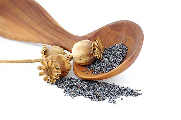 포토 JPG 해외이미지 식물 음식 농업 재료 자연 건조 건강 씨앗 사람없음 목재 약 갈색 머리 쌓기 검은색 흰색 양념 그룹 상품 허브 향신료 묘사 유기농 질감 날것 양귀비 흙더미 내추럴 고립 꼬투리 해외202310 해외포토 나무 웰빙 꽃 산업 컬러 의학 모션 신체부위 흙 생태계 향미료 파일형식 더미