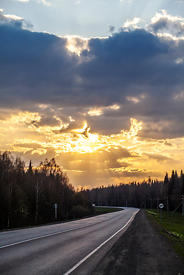 포토 JPG 해외이미지 나무 도로 길 선 여행 백그라운드 자동차 자연 하늘 성공 아침 산 사람없음 야외 목재 초록색 파란색 빛 햇빛 태양 뷰티 노란색 일몰 봄 새벽 농촌 시골 고속도로 숲 장면 분열 길가 삼림지대 비어있는 해외202310 해외포토 주간 자연요소 식물 계절 육상교통 컬러 컨셉 재료 교통시설 노을 생태계 파일형식