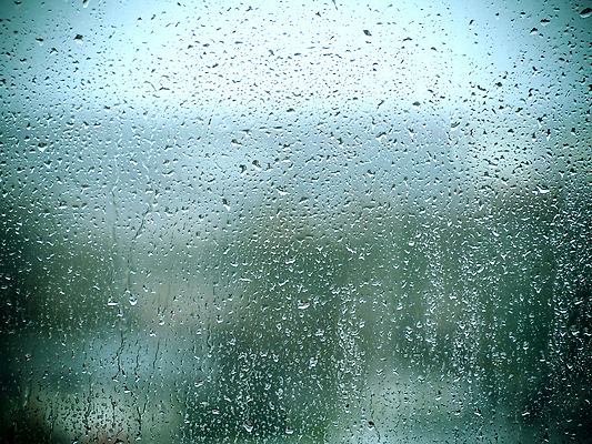 포토 JPG 해외이미지 디자인 계절 컬러 컨셉 잎 패턴 밭 벽지 하늘 표면 주택 건조 사람없음 빛 컬러풀 햇빛 반사 환경 흐름 흰색 물방울 투명 닫기 매끈함 소프트포커스 질감 보케 광택 10월 블러 샤워실 많음 효과 해외202310 해외포토 식물 무늬 농업 모션 촬영기법 건물 태양 감각 날짜 샤워시설 파일형식