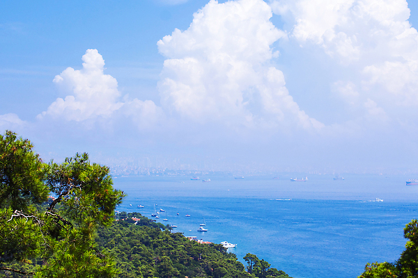 포토 JPG 해외이미지 나무 유럽 아시아 바다 섬 여행 건축양식 교통시설 하늘 휴가 주택 이스탄불 사람없음 건물 물 여행객 맑음 자전거 흰색 도시 보트 빌라 언덕 5 승객 칠면조 2월 왕자 튀르키예 해외202310 해외포토 자연요소 식물 건축물 건축 나라 컬러 교통 배_교통 조류 날씨 사람 숫자 바이크 날짜 시설 파일형식