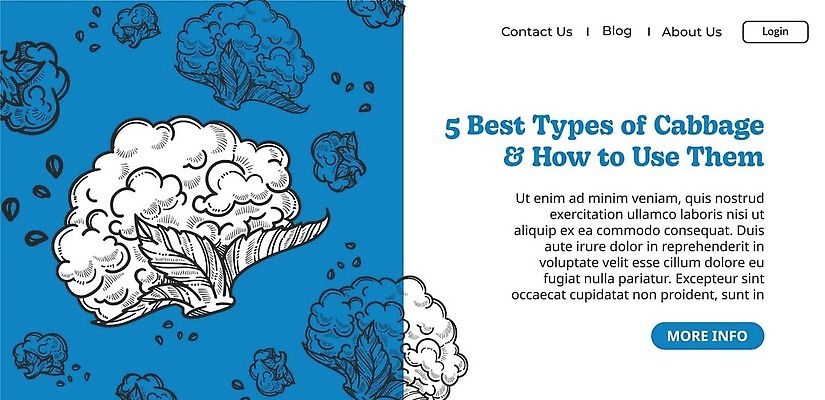 EPS 해외이미지 식물 템플릿 접시 디자인 잡화 계절 음식 다이어트 채소 과일 일러스트 건강 종류 식사 저녁식사 샐러드 신선 시장 상품 정상 상추 균형 만화 지중해 먹기 준비 그림 유기농 양배추 채식 날것 비타민 내추럴 점심식사 바이탈 영양분 채식주의자 벡터 디톡스 비건 해외202310 해외일러스트 식기 웰빙 바다 모션 영양소 파일형식