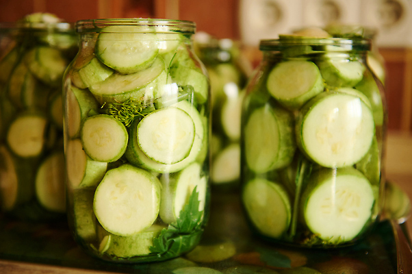 포토 JPG 해외이미지 라이프스타일 계절 농업 재료 건강 마늘 요리 사람없음 초록색 주방 수확 신선 항아리 보호 상품 먹기 허브 향신료 준비 유기농 피클 레시피 통조림 딜 식초 입가심 절임 주키니 주키니호박 짠맛 채식주의자 핸드메이드 비건음식 해외202310 해외포토 식물 웰빙 산업 음식 컬러 컨셉 채소 모션 생활 도자기 맛 채식 향미료 파일형식 비건