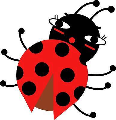 EPS 해외이미지 동물 캐릭터 손 디자인 행복 얼굴 야생동물 어린이 곤충 백그라운드 셔츠 일러스트 자연 사랑 미술 그래픽 빨간색 컬러풀 머리 정원 봄 낭만 아기 인사 점 신용카드 벌레 만화 딱정벌레 만족 그림 무당벌레 고립 벡터 해외202310 해외일러스트 일러캐릭터 계절 감정 컬러 컨셉 상의 문화예술 사람 신체부위 금융 예절 생태계 파일형식