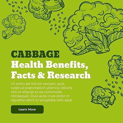 EPS 해외이미지 일러스트 건강 씨앗 사람없음 초록색 웹 브로콜리 스케치 양배추 드로잉 해외202310 해외일러스트 식물 컬러 인터넷 채소 미술 파일형식 벡터