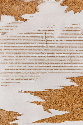 포토 JPG 해외이미지 직업 디자인 벽 백그라운드 패턴 건축양식 벽지 표면 추상 아파트 주택 실내 미술 사람없음 내부 건물 목재 갈색 페인트 방 수확 공구 업무 거친 수리 확대 질감 복고 시멘트 그런지 복원 석고 업그레이드 옛날 콘크리트 회복 해외202310 해외포토 나무 건축물 건축 컬러 컨셉 무늬 농업 재료 문화예술 도구 작업 파일형식