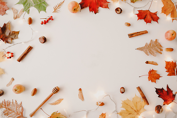 포토 JPG 해외이미지 식물 라이프스타일 디자인 계절 컬러 백그라운드 컨셉 단풍 잎 패턴 오렌지 자연 탁자 휴가 주택 프레임 사람없음 장식 빨간색 컬러풀 노란색 우주 주방 축제 침묵 할로윈 수확 가을 흰색 시골 신용카드 정상 인쇄 9월 배열 질감 레이아웃 추수감사절 10월 내추럴 항공촬영 구성 시나몬 미니멀 해외202310 해외포토 기독교 뷰포인트 가구 무늬 농업 과일 건물 생활 금융 소리 날짜 생태계 파일형식