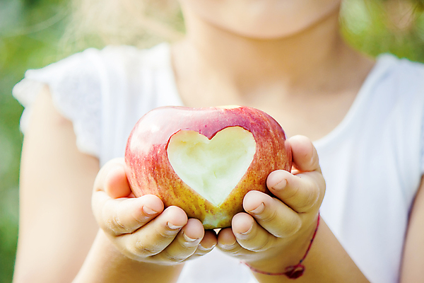 포토 JPG 해외이미지 주간 서양인 여자 어린이 자연 한명 들기 상반신 야외 앞모습 하트 신선 사과 과수원 사과농장 소녀한명만 해외202310 해외포토 자연요소 모양 외국인 1 뷰포인트 농업 과일 모션 사람 농장 생태계 여자한명만 소녀만 파일형식