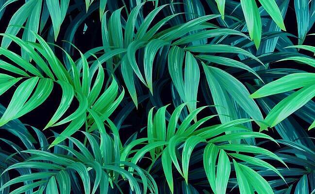 EPS 해외이미지 나무 식물 디자인 컬러 백그라운드 셔츠 잎 꽃무늬 패턴 일러스트 자연 벽지 추상 손바닥 미술 그래픽 초록색 파란색 유행 보라색 어둠 봄 직물 숲 인쇄 휴양지 질감 하와이 캘리포니아 변장 이국적 하와이인 벡터 알로하 해외202310 해외일러스트 외국인 손 계절 꽃 상의 무늬 문화예술 미국 장소 인사 생태계 파일형식