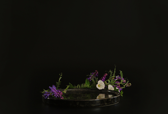 포토 JPG 해외이미지 꽃 백그라운드 사람없음 공간 원형 단상 포디움 해외202310 해외포토 도형 식물 무대 파일형식