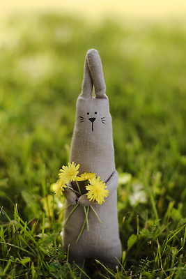 포토 JPG 해외이미지 동물 계절 공원 꽃 행복 감정 어린이 인형 백그라운드 컨셉 장난 자연 놀이 선물 사랑 잔디 사람없음 야외 장식 초록색 컬러풀 장난감 햇빛 뷰티 귀여움 맑음 기쁨 작음 에코 부드러움 솜털 폭식 핸드메이드 해외202310 해외포토 식물 공공시설 컬러 날씨 사람 태양 환경 감각 크기 생태계 파일형식