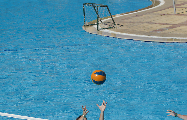 포토 JPG 해외이미지 모델 손 행복 감정 스포츠 거실 오렌지 공 놀이 휴가 휴식 갈색머리 수영장 성인 사람없음 야외 여름 파란색 뷰티 맑음 수영 에너지 자유 게임 선탠 배구 다이빙 무료 목업 해외202310 해외포토 헤어스타일 계절 컬러 컨셉 과일 날씨 사람 신체부위 구기 수상스포츠 수중스포츠 파일형식