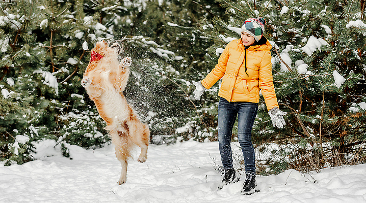 포토 JPG 해외이미지 전신 나무 여자 겨울 놀이 한명 성인 야외 설원 추위 골든리트리버 강아지 성인여자한명만 해외202310 해외포토 식물 1 계절 눈_날씨 사람 반려동물 개 리트리버 여자한명만 성인여자만 파일형식