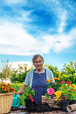 포토 JPG 해외이미지 여자 노년 꽃 화분 하늘 한명 상반신 앞모습 바구니 정원 앞치마 흙 물뿌리개 성장 나무상자 삽 원예 노인여자한명만 해외202310 해외포토 식물 1 뷰포인트 사람 성인 취미 상자 여자한명만 노인여자만 파일형식