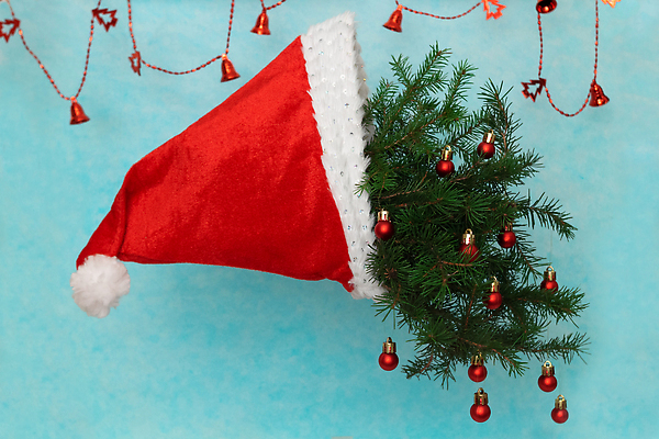 포토 JPG 해외이미지 나무 전통 디자인 계절 행복 백그라운드 컨셉 크리스마스 공 휴가 새해 아이디어 털 선물 미술 이벤트 사람없음 장식 빨간색 파란색 세트 산타클로스 축제 장식볼 흰색 나뭇가지 축하 인사 신용카드 12월 모피 수집 심볼 사인 솜털 엘리먼트 가문비나무 클라우스 미니멀 해외202310 해외포토 식물 기념일 감정 컬러 문화예술 금융 예절 날짜 파일형식