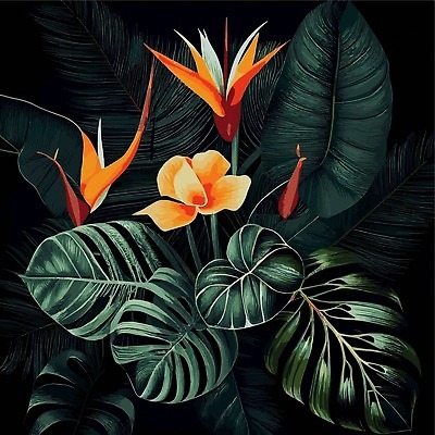 EPS 해외이미지 일러스트 검은배경 사람없음 야자수잎 몬스테라 열대꽃 열대잎 트로피컬아트 해외202310 해외일러스트 식물 꽃 백그라운드 잎 검은색 그림 파일형식 벡터