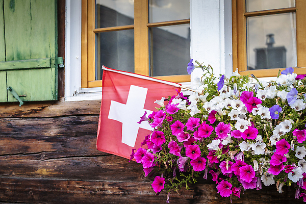 포토 JPG 해외이미지 식물 꽃 화분 분홍색 단풍 패턴 창문 자연 휴식 사람없음 야외 목재 장식 가로 빨간색 초록색 여름 컬러풀 정원 맑음 봄 벚꽃 발코니 전원 시골 깃발 신선 국기 심볼 스위스 데이지 화단 거베라 제라늄 프리뮬러 세련 해외202310 해외포토 나무 계절 유럽 컬러 컨셉 잎 무늬 재료 날씨 전기에너지 생태계 파일형식