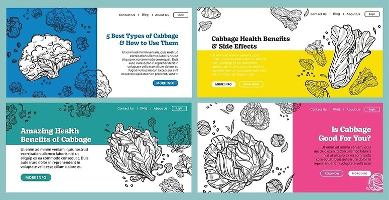 EPS 해외이미지 배너 일러스트 건강 사람없음 초록색 세트 상점 상품 심볼 양배추 마케팅 해외202310 해외일러스트 컬러 채소 파일형식 벡터